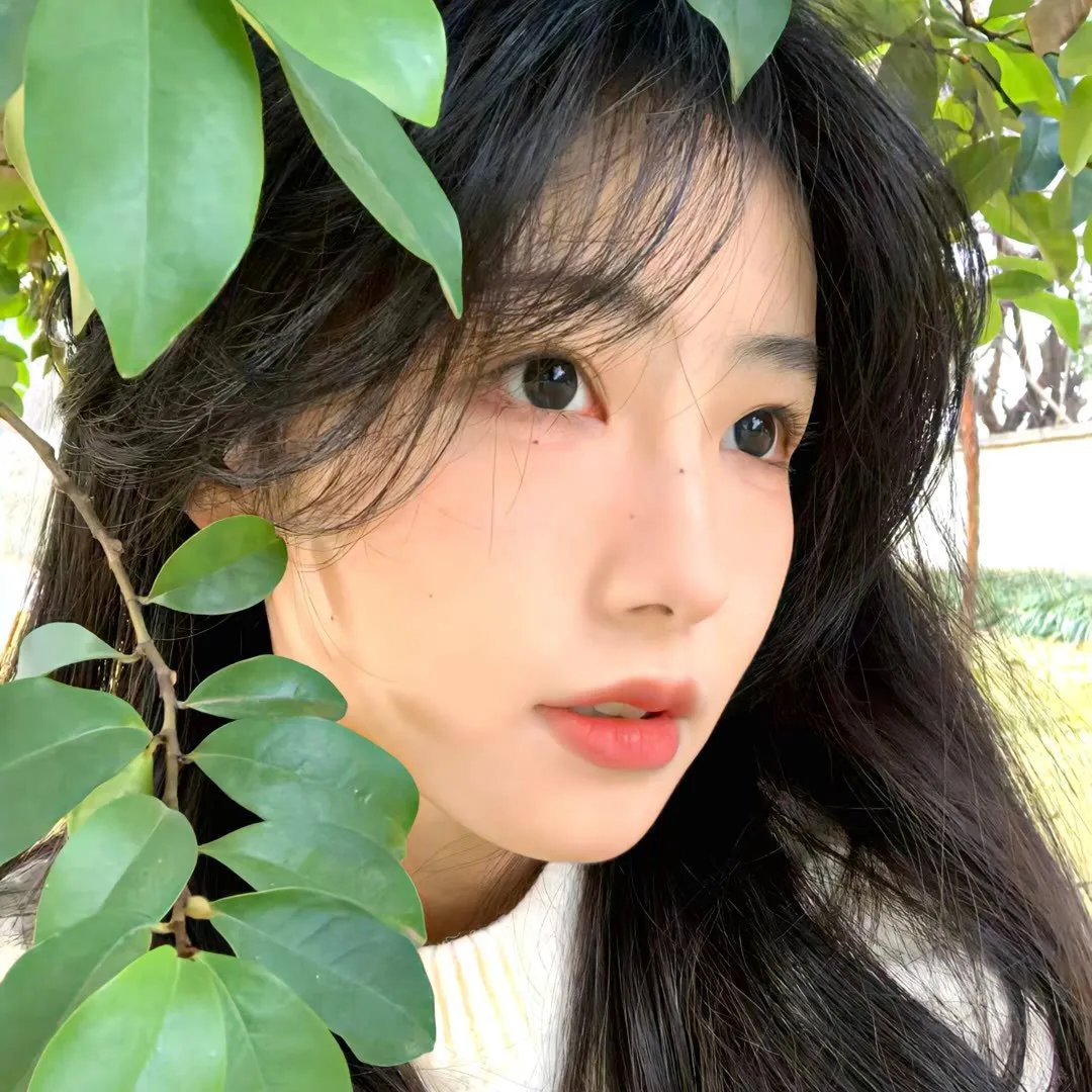 真情到永远