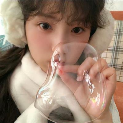 白狐